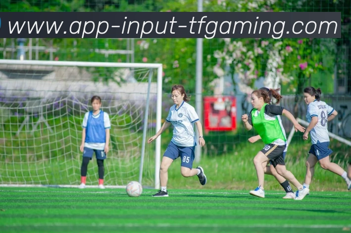 多媒体互动体验